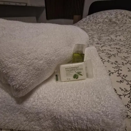 Historisches Haus Am Fusse Der Festung Ehrenbreitstein Am Schoenen Rhein * Кобленц