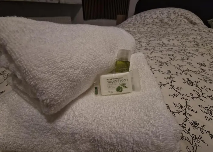 Historisches Haus Am Fusse Der Festung Ehrenbreitstein Am Schoenen Rhein * Koblenc